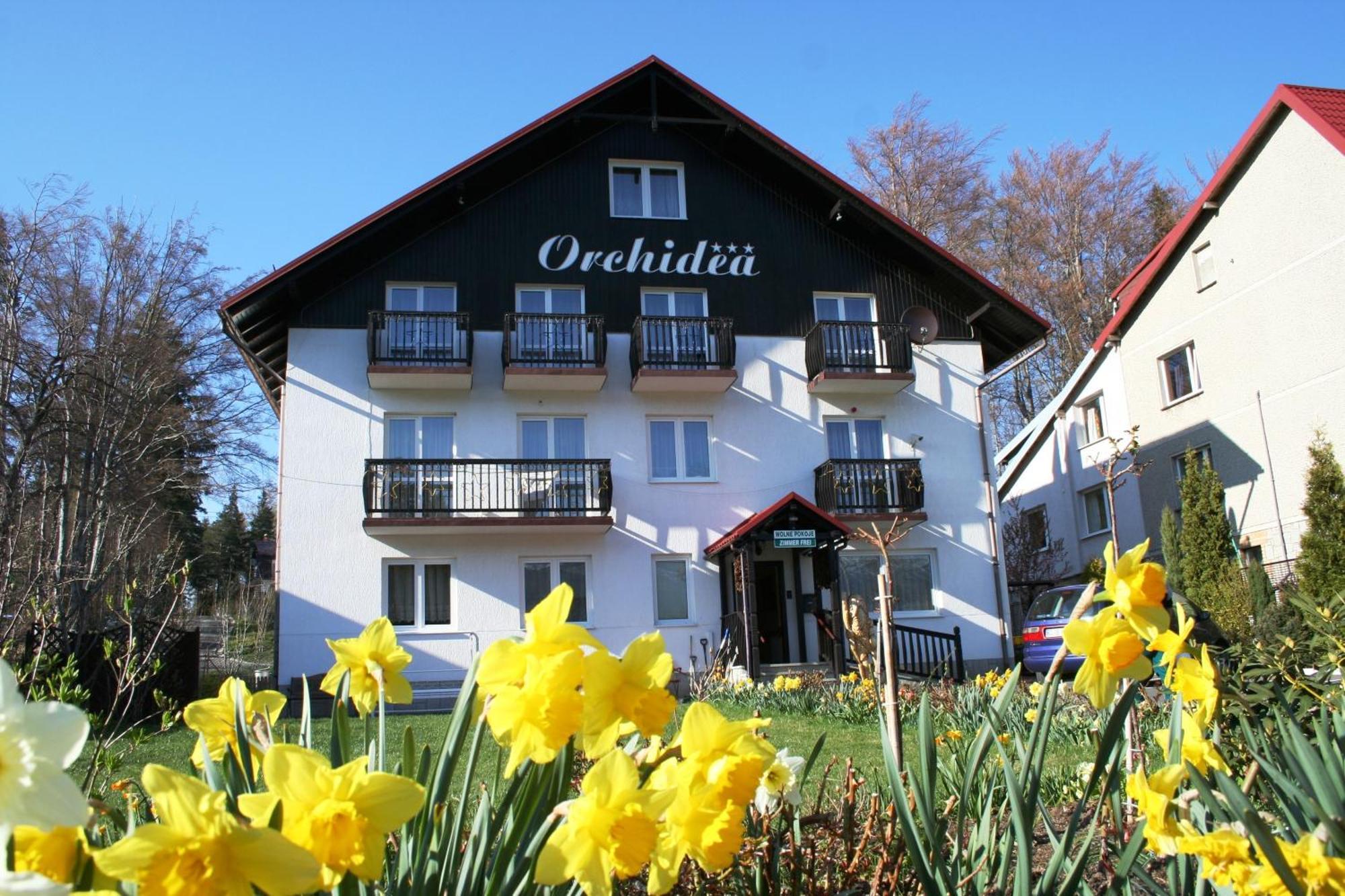 Orchidea Bed and Breakfast Szklarska Poręba Buitenkant foto